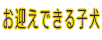 お迎えできる子犬